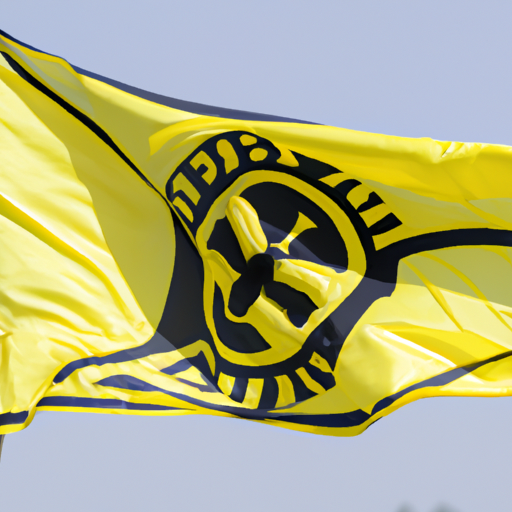 BVB-Fahne