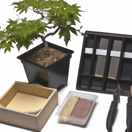 Bonsai-Starter-Kit