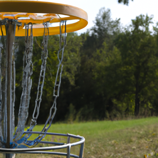 Disc-Golf