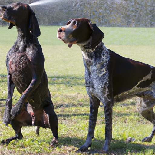 Fernhaltespray Hunde