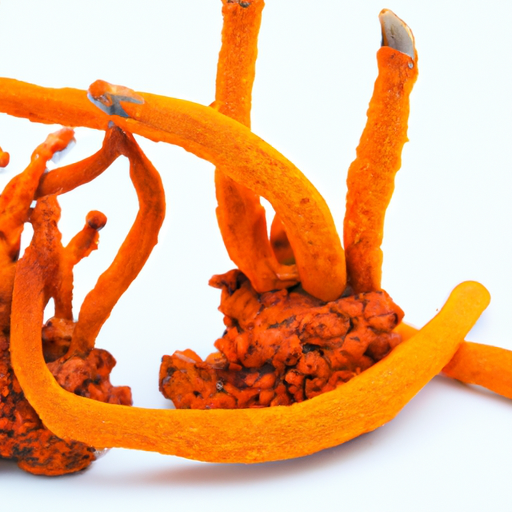 Cordyceps