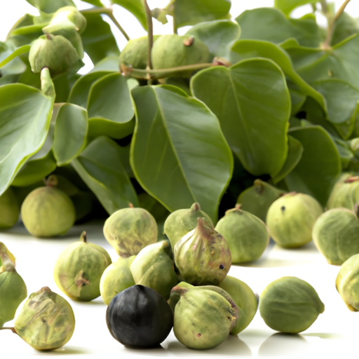 Triphala