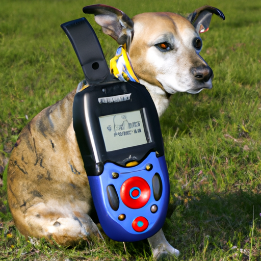 GPS-Tracker Hund