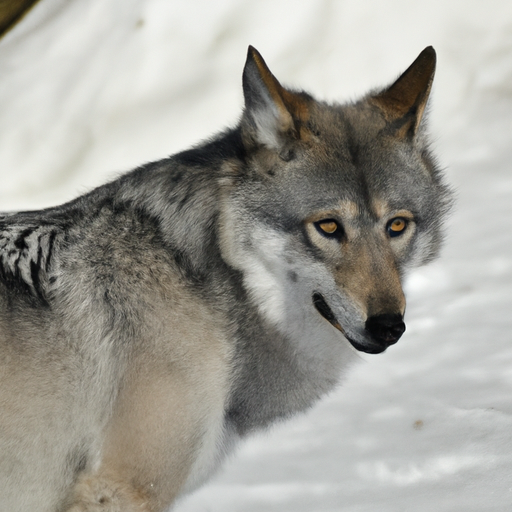 Elektrischer Fleischwolf