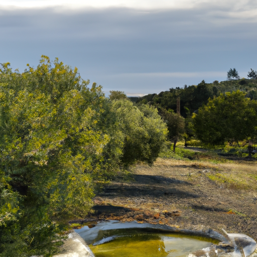 Olivenöl Kreta