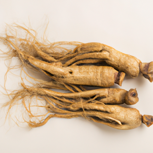 Roter Ginseng